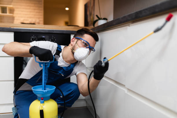 Wasp Removal Services in Mcgovern, PA