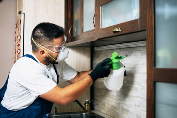 Best Cockroach Control Services  in Mcgovern, PA