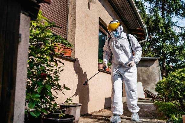 Best Flea Control Services  in Mcgovern, PA