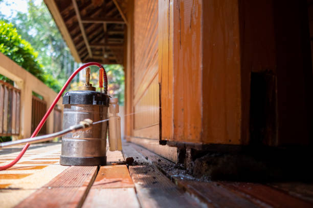 Best Wasp Removal Services  in Mcgovern, PA
