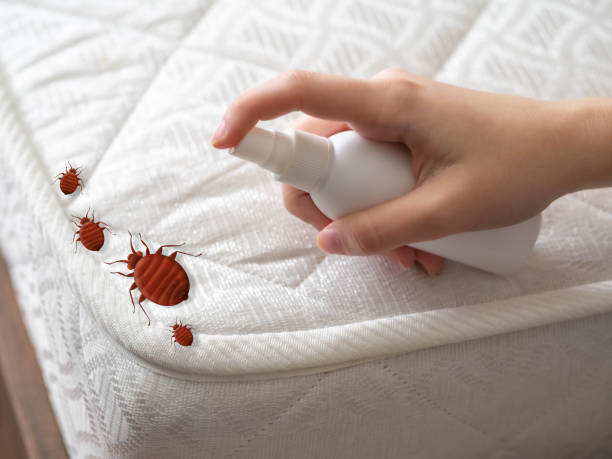 Best Pest Control Near Me  in Mcgovern, PA