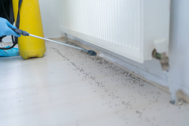 Best Mosquito Control Services  in Mcgovern, PA